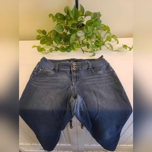 Torrid Denim Skinny Jeans size 14R